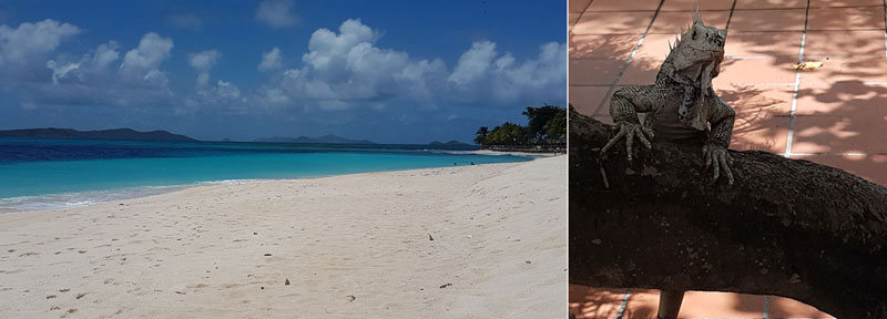 Palm Island eine private Hotelinsel in den Grenadinen