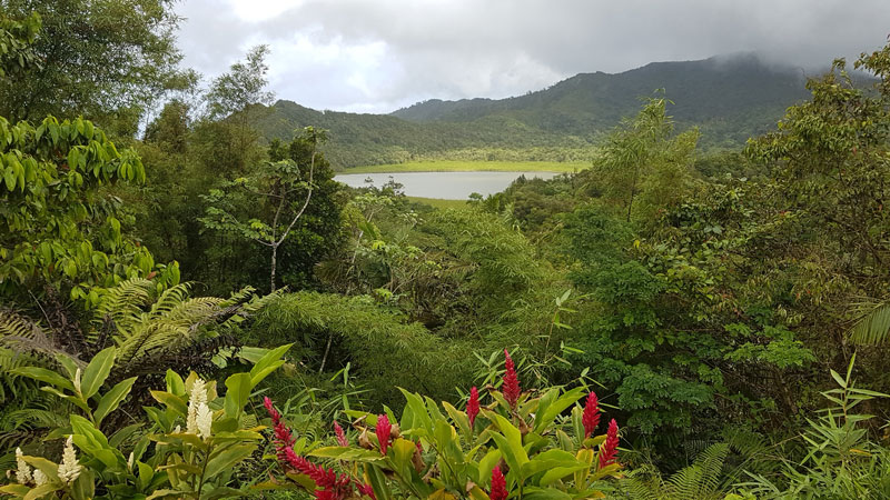 Grenada ist Endstation der Saison. Hier wird Vairea während der Hurrikan-Saison auf dem trockenen stehen.