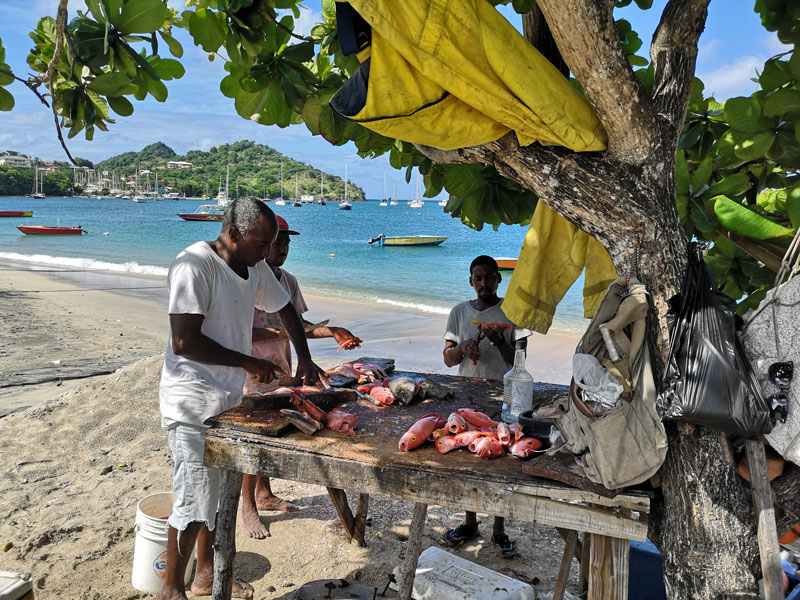 Fischer in der Tyrell Bay auf Carriacou