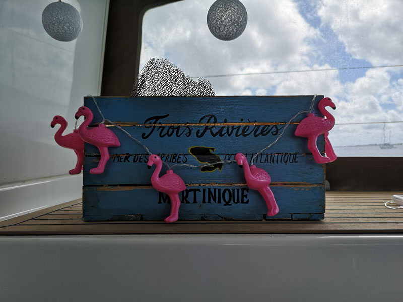 Flamingos für die Festtage auf Bonaire