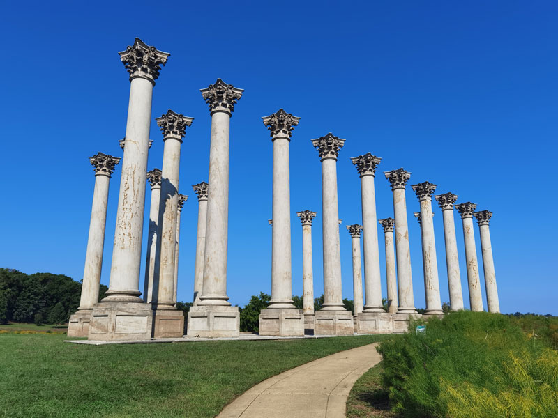 ehemalige Säulen des Kapitols im Arboretum