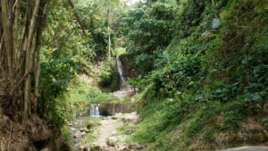 Natur in St. Lucia